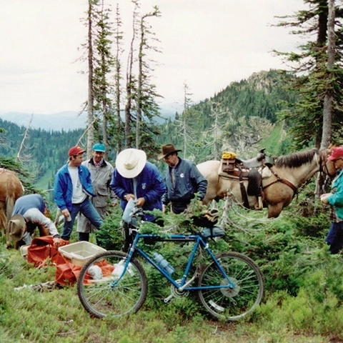 Mountain bikers and horses sharing trail