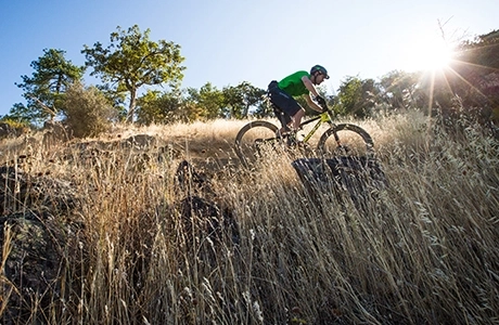 Mountain biker in green riding singletrack through high, brown grass toward waning sunshine at right. 
