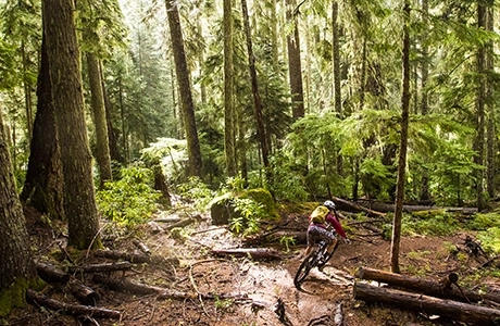 Female mountain biker with yellow backpack riding singletrack through green forest with tall trees, turning corner on trail to the right. 