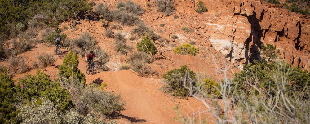 Mountain bikers shredding on BLM land.