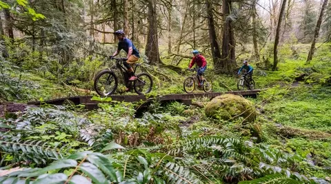 Three eMTB riders cross bridge among ferns in Pacific Northwest