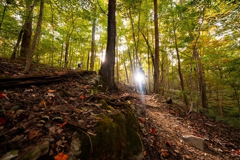 Mountain biker with a headlight riding through the woods in Bristol, VA