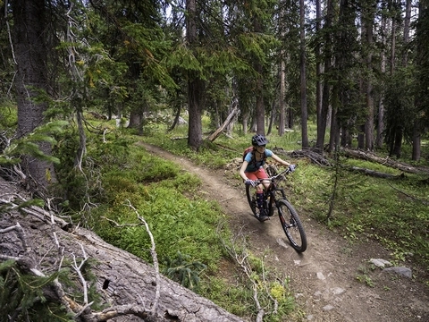 Female identifying mountain biker riding near Steamboat Springs, Colorado