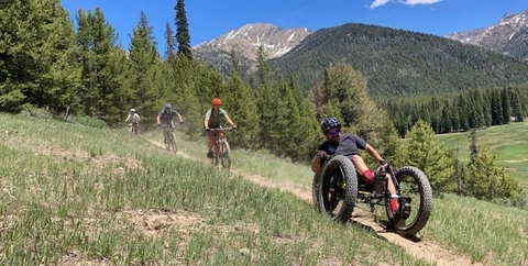 A group of mountain bikers riding some sick single track in the Tetons.