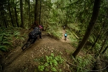 Three mountain bikers riding a trail in northern Washington.