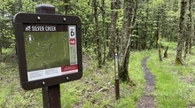 Trail sign and trail in a dense forest.